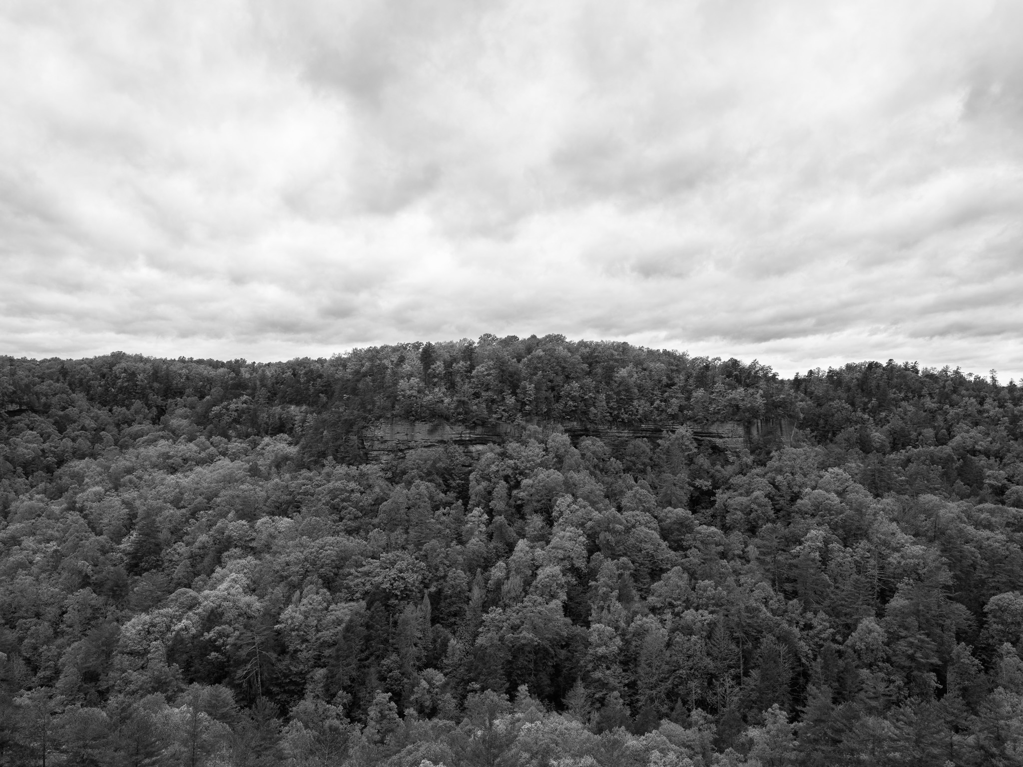 Red River Gorge Geological Area II