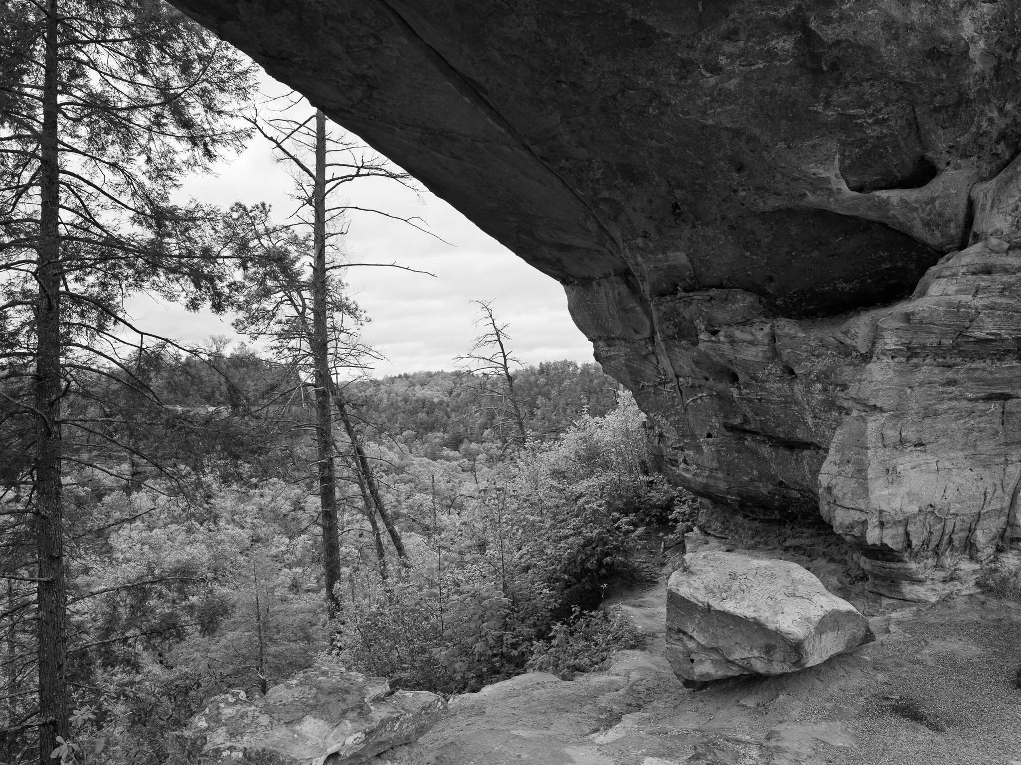 Red River Gorge Geological Area V