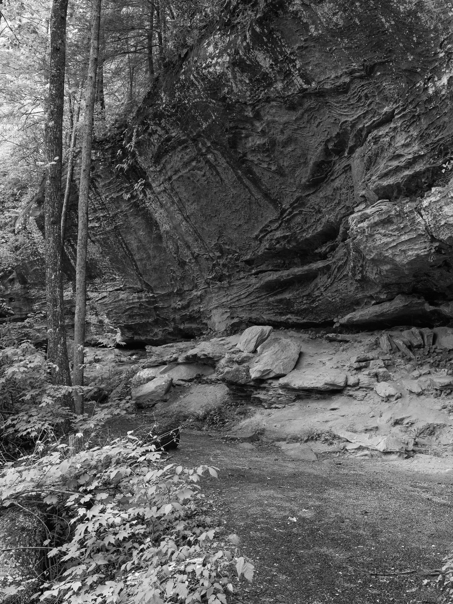 Red River Gorge Geological Area VII