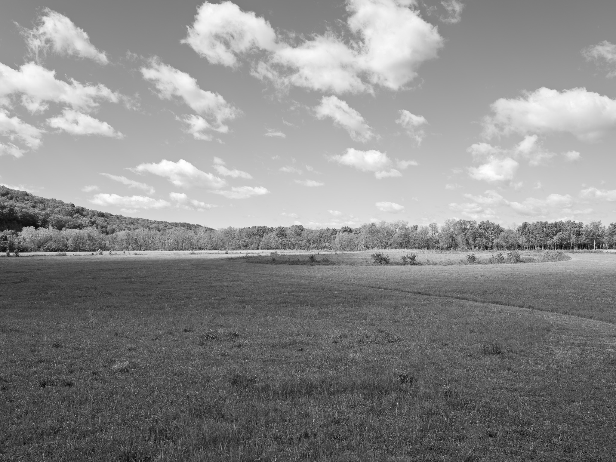 Seip Earthworks I