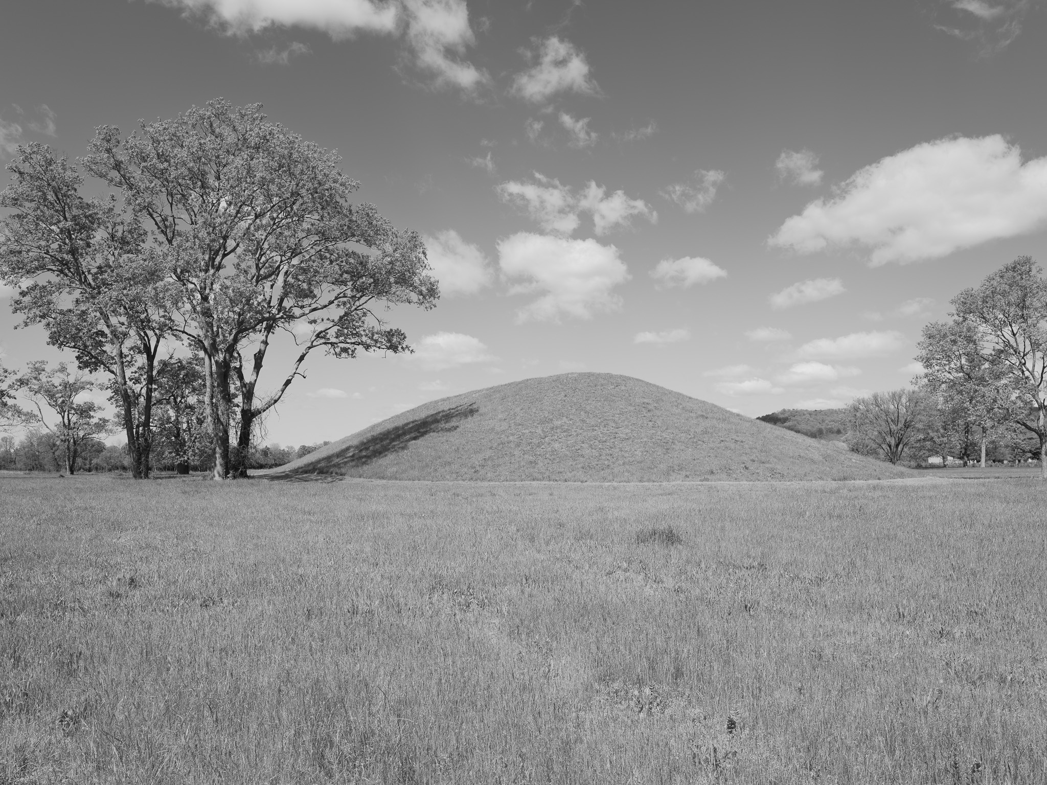 Seip Earthworks VI