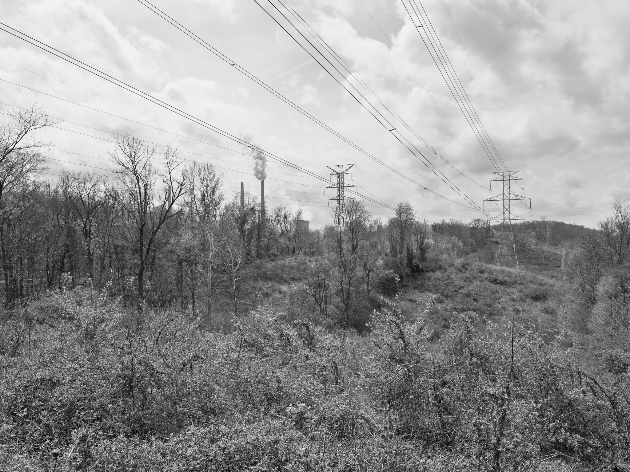 Shawnee Lookout I