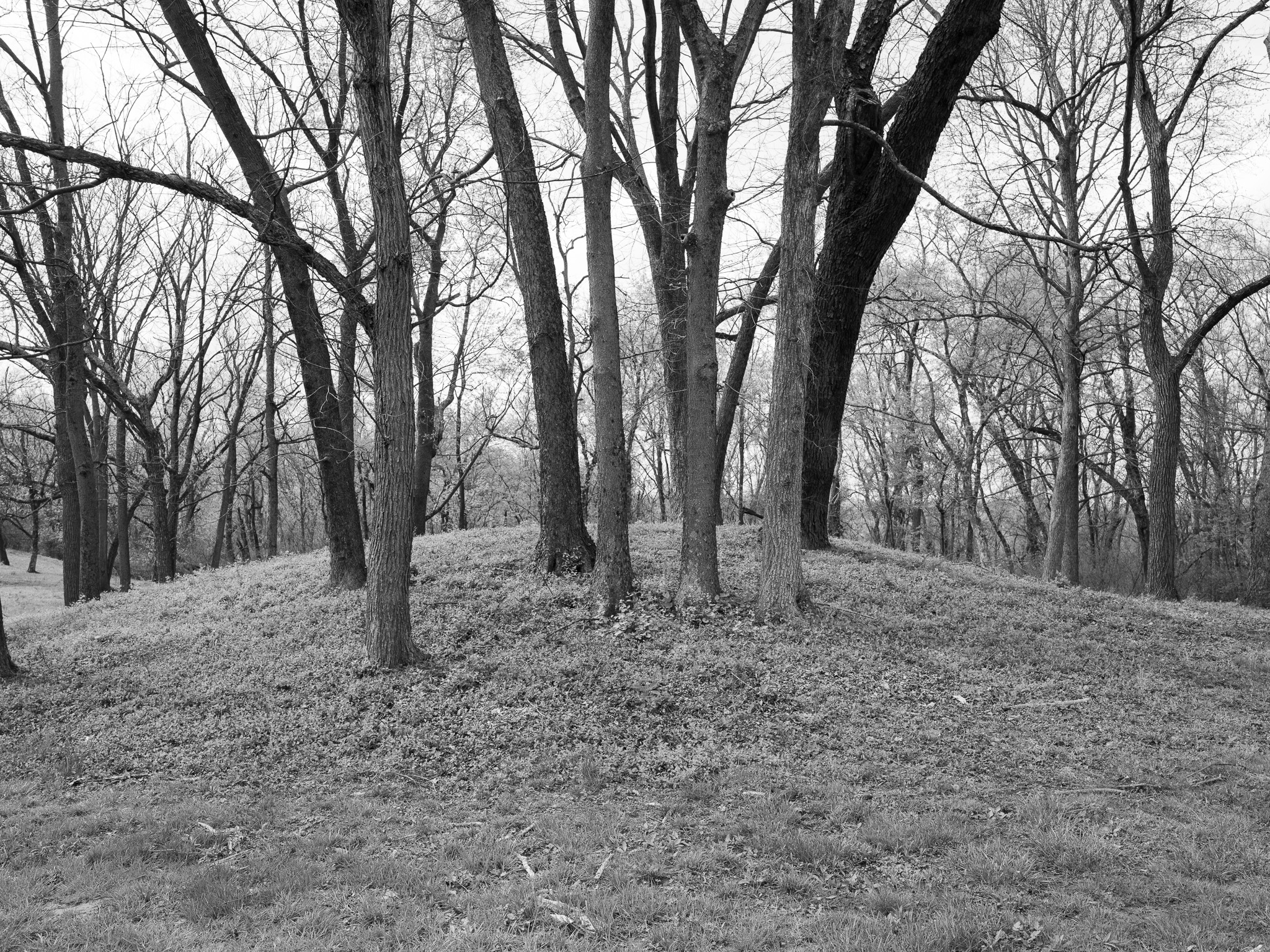 Shawnee Lookout V