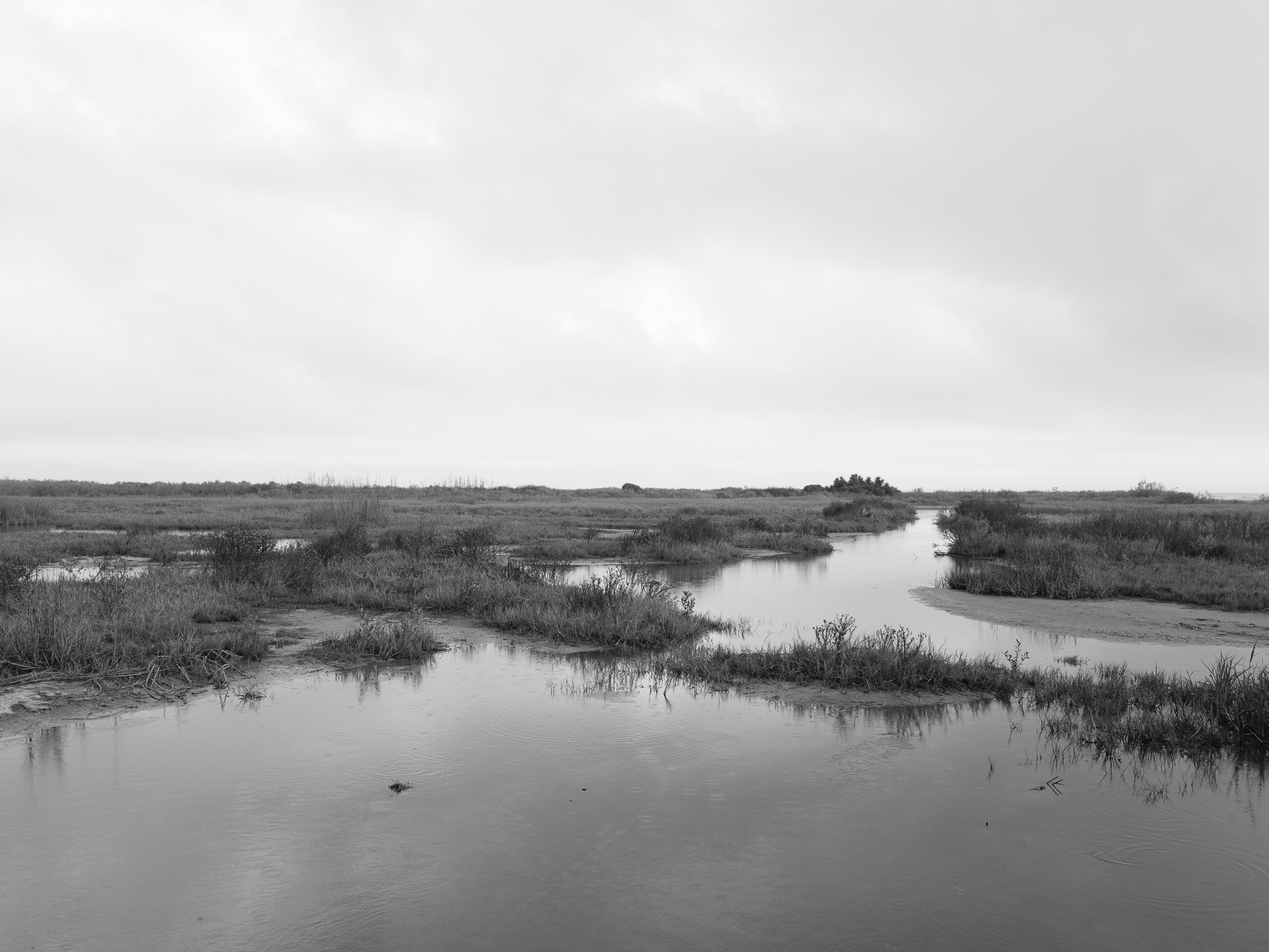 Sea Rim State Park III