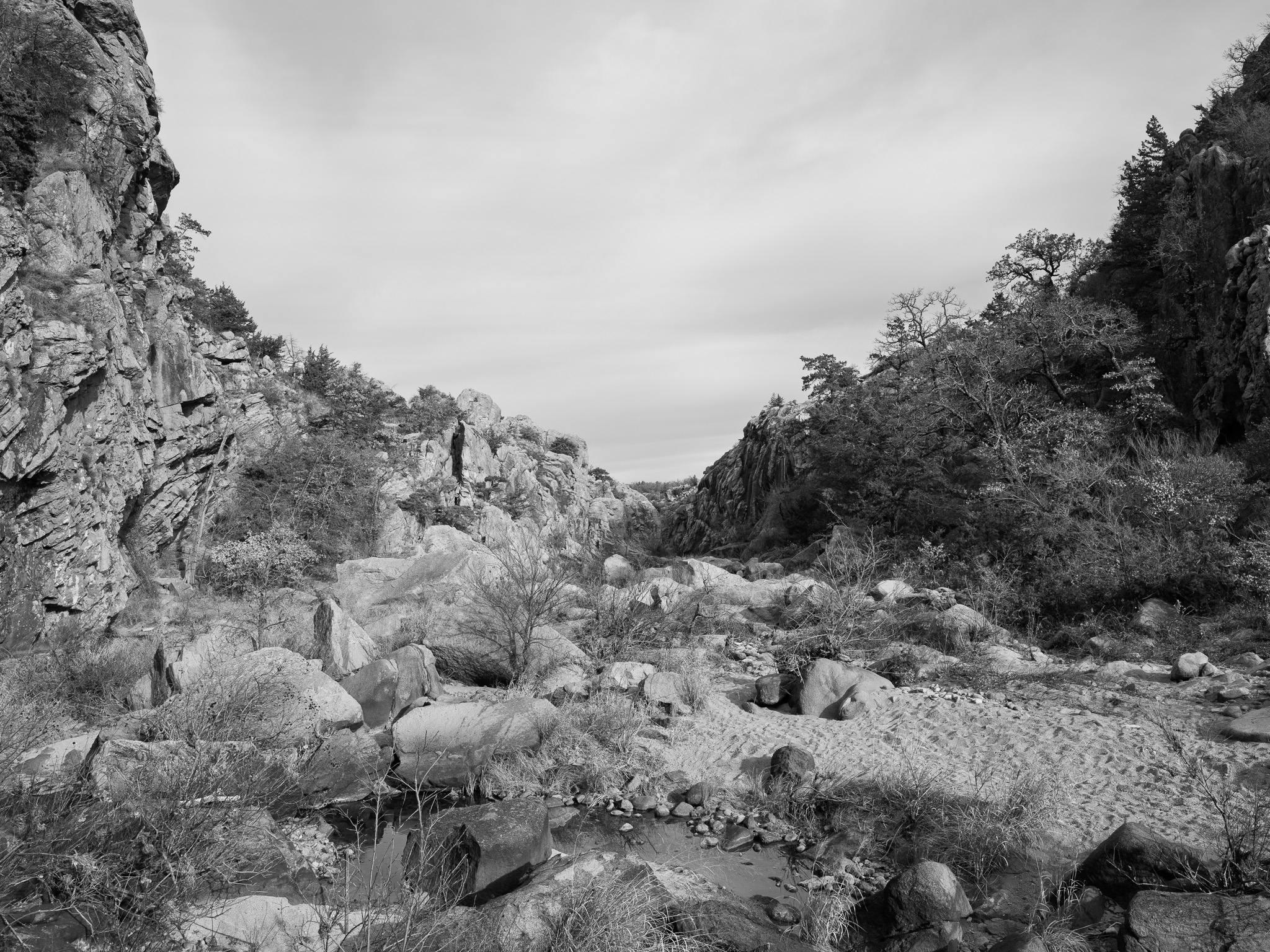 Wichita Mountains National Wildlife Refuge IX