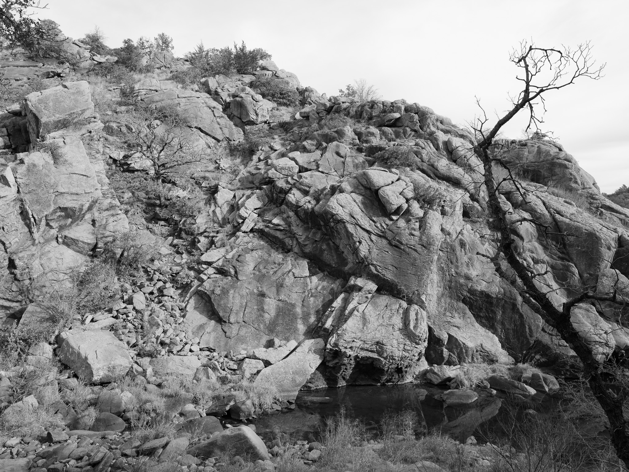 Wichita Mountains National Wildlife Refuge XII