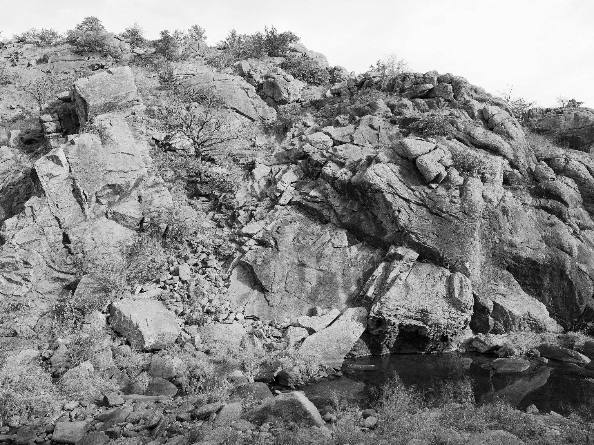 Wichita Mountains National Wildlife Refuge XIII