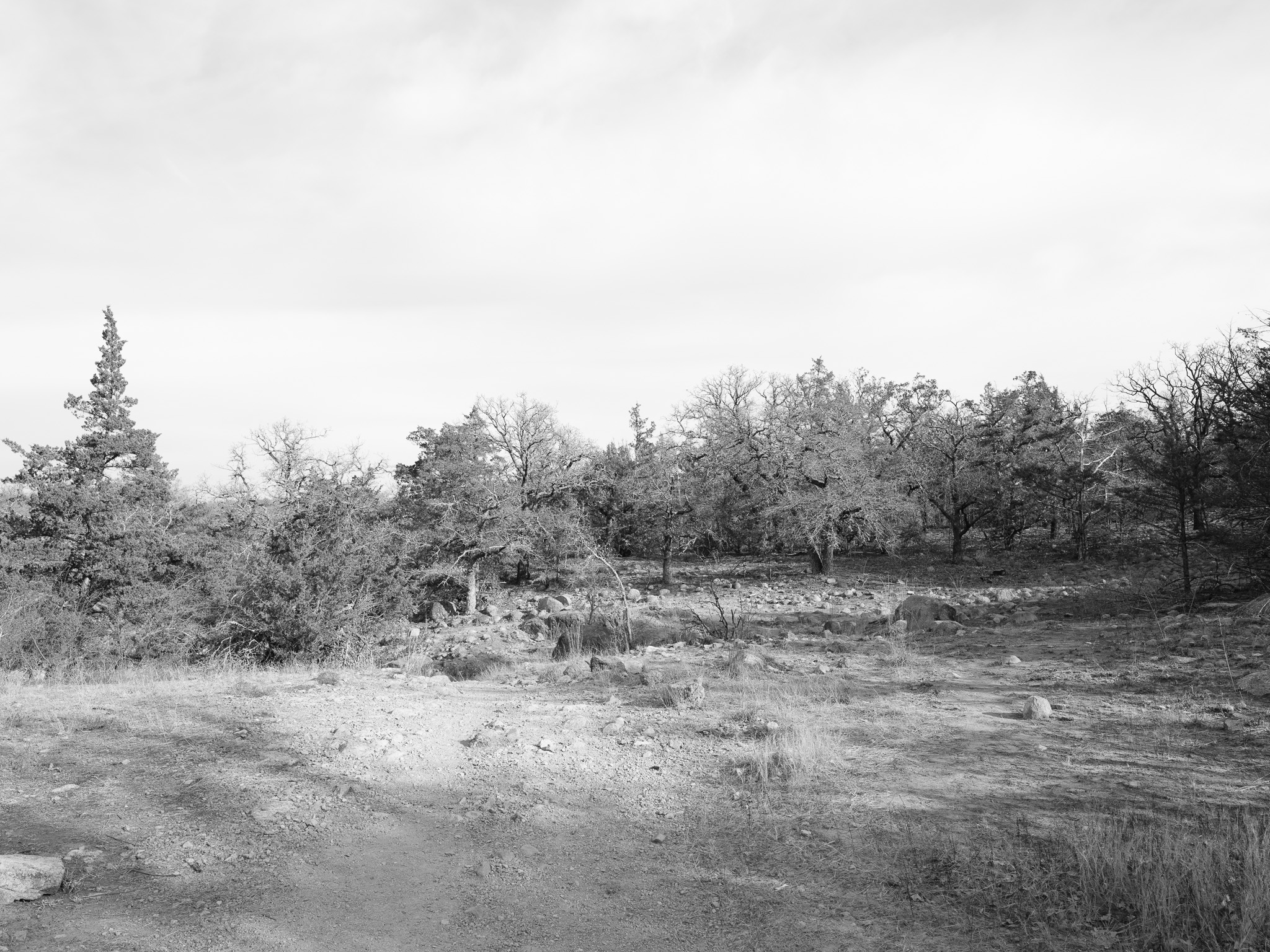 Wichita Mountains National Wildlife Refuge XV