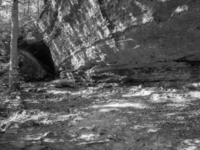 Bell Smith Springs Recreation Area 1
