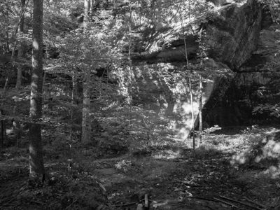 Bell Smith Springs Recreation Area 2