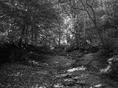Bell Smith Springs Recreation Area 3