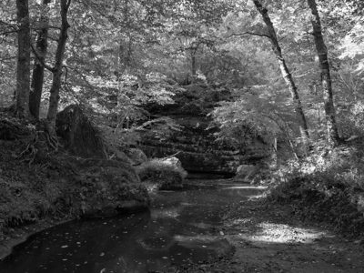 Bell Smith Springs Recreation Area 4