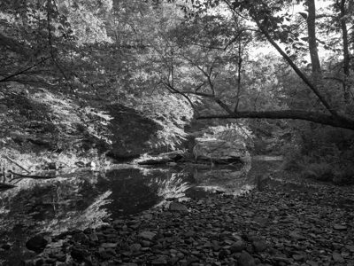 Bell Smith Springs Recreation Area 7
