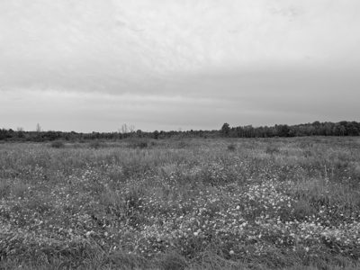 Big Oaks National Wildlife Refuge 1