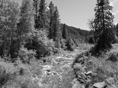 Black Hills National Forest 2
