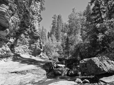 Black Hills National Forest 4