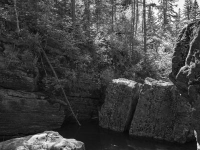 Black Hills National Forest 6