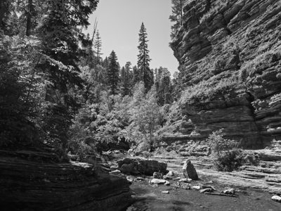 Black Hills National Forest 8