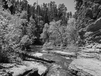 Black Hills National Forest 10