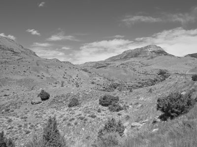 Black Hills National Forest 14