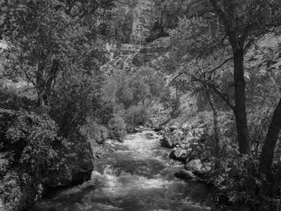 Black Hills National Forest 17