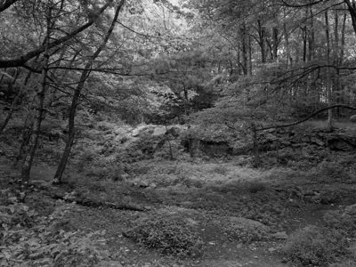 Blood Mountain Wilderness 4