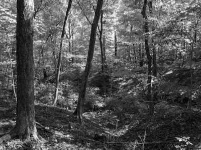Caldwell Nature Preserve 2