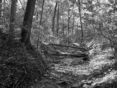 Caldwell Nature Preserve 5