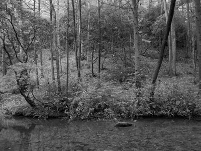 Chattahoochee National Forest 3