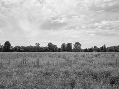 Chisholm Creek Park 2