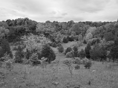 Edge of Appalachia Preserve 4