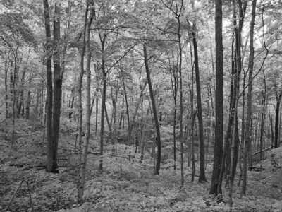 Edge of Appalachia Preserve 11