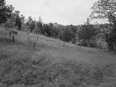 Edge of Appalachia Preserve 14