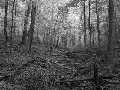 Edge of Appalachia Preserve 16