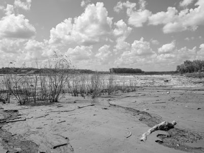Falls of the Ohio State Park 2