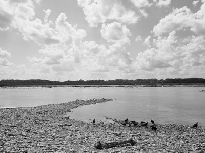 Falls of the Ohio State Park 4