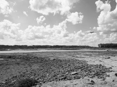 Falls of the Ohio State Park 5