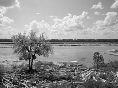 Falls of the Ohio State Park 7