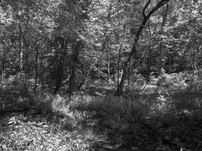 General Butler State Resort Park 6