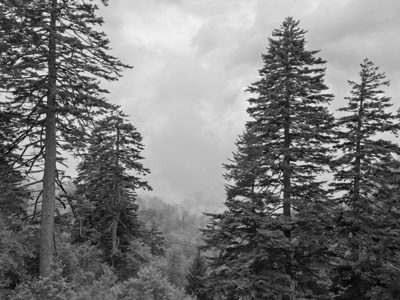 Great Smoky Mountains National Park 1