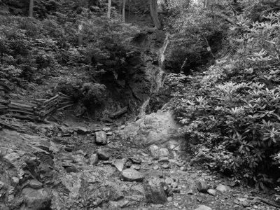Great Smoky Mountains National Park 4