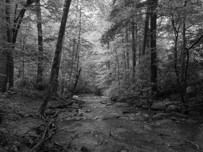 Great Smoky Mountains National Park 5
