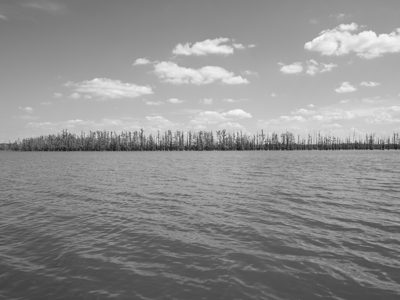 Hovey Lake Fish and Wildlife Area 1
