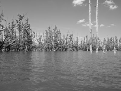 Hovey Lake Fish and Wildlife Area 4