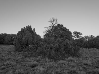 Lathrop State Park 1