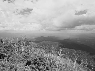 Nantahala National Forest 3