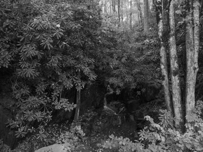 Nantahala National Forest 5