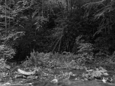 Nantahala National Forest 9