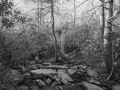 New River Gorge National Park and Preserve 3