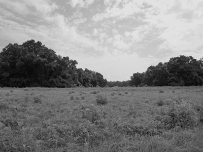 Ocmulgee Mounds National Historical Park 4